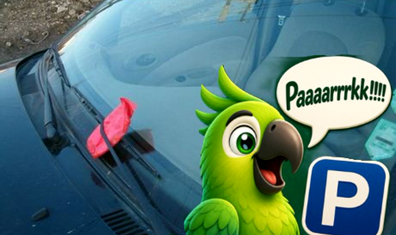 A parking ticket under a windscreen wiper, with the Parking Parrot mascot shouting Paaaarrrkk!